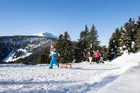 Ski and winter holidays